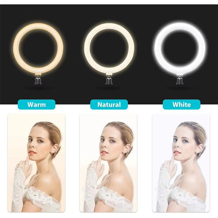 WERGON - Astra - Justerbar 5-i-1 holder med LED ringlys - Til Laptop/tablet/smartphone 4-17" + en Monitor skærm Max 32" - Sølv